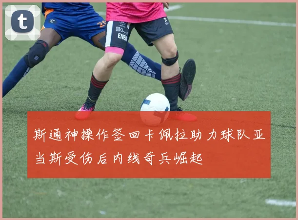 斯通神操作签回卡佩拉助力球队亚当斯受伤后内线奇兵崛起