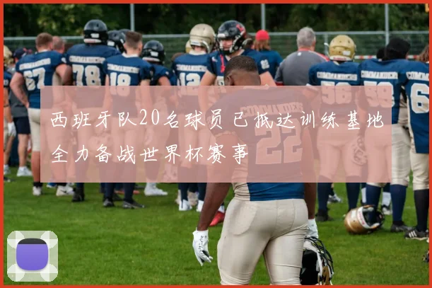 西班牙队20名球员已抵达训练基地全力备战世界杯赛事